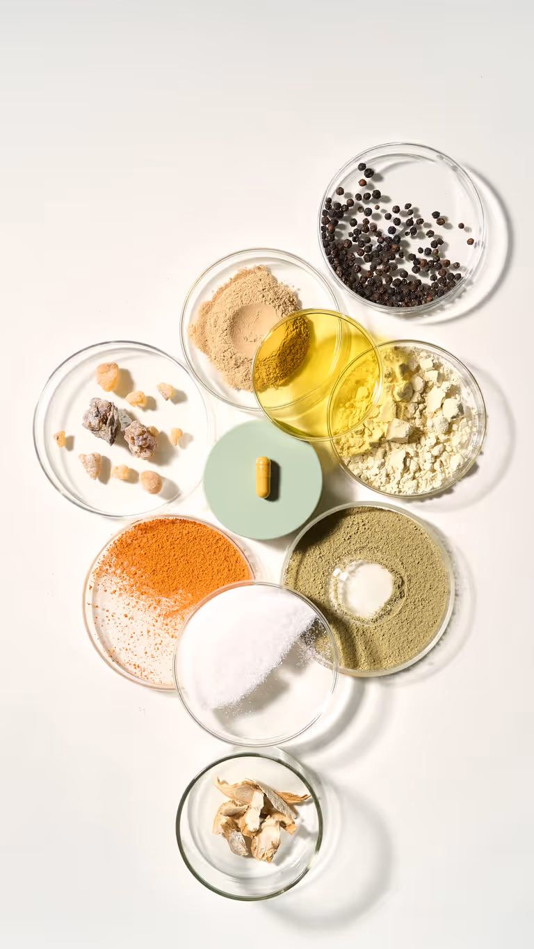 LanFam Ingredients Circular Layout White Background