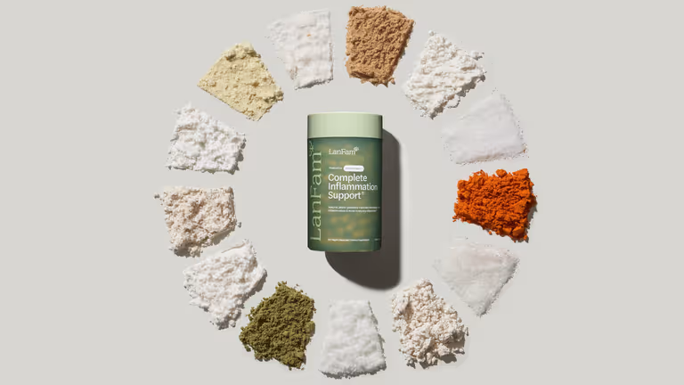 A ProleevaMax jar at the centre of a ring of raw ingredient powders on a grey surface