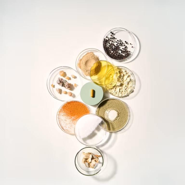 Raw ProleevaMax ingredients in petri dishes arranged around a single capsule on white